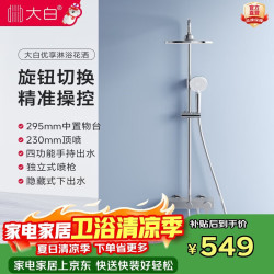 大白 增压 淋浴器套装+置物台+升降功能  亮银色