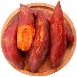 享农伯 龙薯九号番薯 黄心粉糯 9斤 中型果 根茎类蔬菜