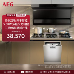 AEG 欧式厨电套装顶侧双吸油烟机猛火燃气灶独嵌两用16套洗碗机DHS9693KAB+9367+9692