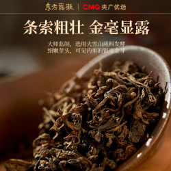 东方露凝 云南大雪山熟普洱 50g 盒装