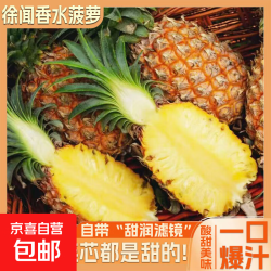 京喜加 菠萝  净重5斤 中果 单果1.3斤-1.7斤