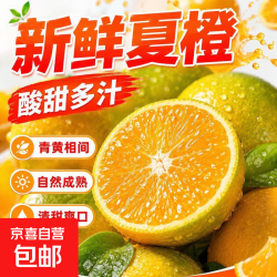 橙汁 带箱5斤（净重4.5斤）单果60mm起