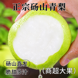 砀山青梨  中果 9-10斤