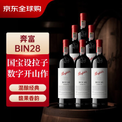 奔富 Bin28 玛吉尔庄园设拉子干型红葡萄酒 2019年 6瓶*750ml 整箱装