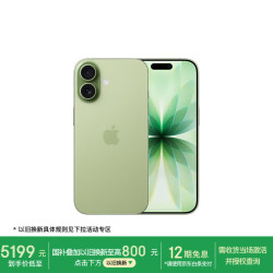Apple iPhone 17 5G手机 8GB+256GB 鼠尾草绿色