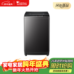 小天鹅 洗衣机全自动变频 10KG 随心洗 TB100V26DT