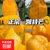 正宗攀枝花凯特芒时令新鲜采摘青黄皮生熟两吃大果核薄汁多肉厚箱 带箱10斤净重9.5斤单果800g