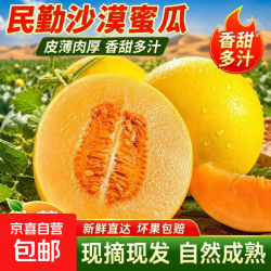 京喜加 甘肃武威民勤沙漠日照脆甜甜瓜 戈壁农户现摘生鲜 带箱8-9斤净重8-8.5斤