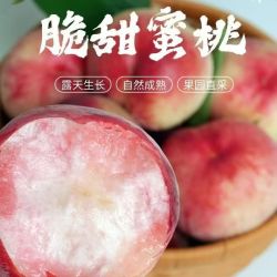 乐芮 山西红不软脆桃脆甜可口新鲜水果毛桃水蜜桃