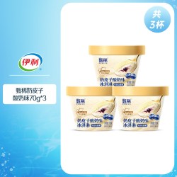 甄稀 伊利冰淇淋甄稀杯芭乐新口味混合多口味18杯