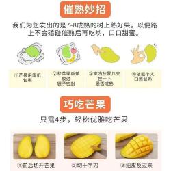 四川攀枝花凯特芒果当季新鲜水果现摘超甜彩虹芒大青吉禄芒果整箱