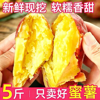 移动端：无品牌 河南 黄心番薯 4.5斤 蜜薯王