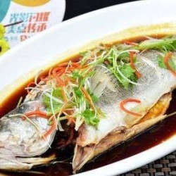 东北菜6-8人餐｜清蒸鲈鱼+红扒肘子