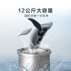 海信 HB120DC16 波轮洗衣机全自动 12kg