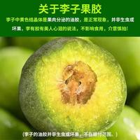 京鲜生 四川蜂糖青脆李 净重4.5斤 单果25g+
