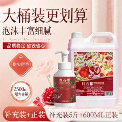 圣洁康 抑菌洗手液补充装家庭囤货装大容量 5斤补充装+600ml*1瓶