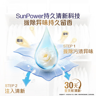 当妮 香氛洗衣液 雪松小苍兰 800g