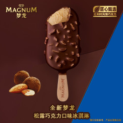 梦龙 冰淇淋 松露巧克力口味 260g