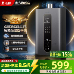 志高 燃气热水器天然气家用热水器