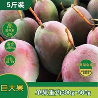 领鲜淘 正宗攀枝花凯特芒果新鲜5斤