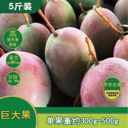 领鲜淘 正宗攀枝花凯特芒果新鲜5斤