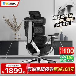 Ergomax Evolution2+人体工学电脑椅网椅家用办公椅子电竞椅游戏椅