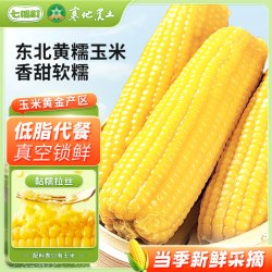 七稻町 东北糯玉米甜玉米