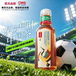 农夫山泉 东方树叶 青柑普洱 500ml*15瓶