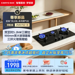 前锋 燃气灶家用 超大面板5.2kW猛火灶双眼定时180°控火熄火保护JZT-ZMD702-B