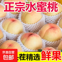 京喜加 山西露天水蜜桃现摘新鲜脆甜时令应季水果大毛桃子整箱 带箱2斤特大果 净重1.7斤（单果120g+）