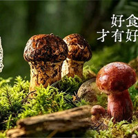滇弍蒸汽鲜鱼Bistro精选3-4人餐