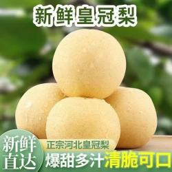 河北皇冠梨 净重4.5斤