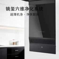 镝玺 新风循环 吸油烟机  不锈钢机身  新风联动排烟系统，定制品下单不退不换，（定制周期60天）