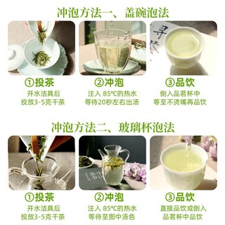 勐洛小寨 特级雀舌绿茶 明前嫩芽 500g*1罐
