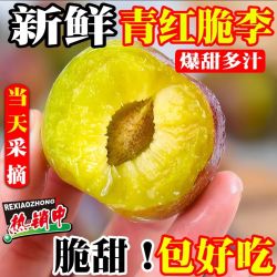 乐哆源 红李半边红青红脆李脱骨李
