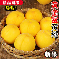 农根蔬 黄桃新鲜水果山东蒙阴黄金蜜桃锦绣当季时令黄毛桃整箱大桃子 净重4.5斤优选