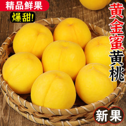 农根蔬 黄桃新鲜水果山东蒙阴黄金蜜桃锦绣当季时令黄毛桃整箱大桃子 净重4.5斤优选