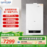 小松鼠 全预混冷凝壁挂炉天然气地暖热水两用一级能效家用恒温供暖燃气炉采暖洗浴锅炉热水器Q70