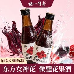 梅一传奇 洛神花山楂酒 甜型果酒
