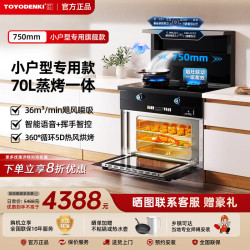 TOYODENKI 日本東洋有限公司小户型750mm集成灶一体式蒸烤灶 Al语音+体感 变频 天然气12T