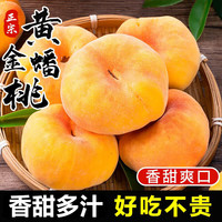 粤迎 蒙阴黄金毛蟠桃 净重4.5斤 单果110g+
