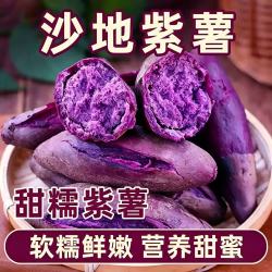 春福乐 新鲜紫薯地瓜紫罗兰正宗农家自种香薯紫心红薯山芋蔬菜包邮沙地 5斤精选装净4斤