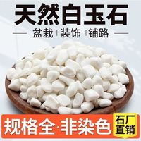 科万鸿 小白石子多肉铺面石头养花鹅卵石雨花石鱼缸造景盆栽 白石子