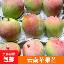 新鲜苹果芒 当季澳芒热带甜心芒水果整箱 苹果芒8-9斤单果300g+