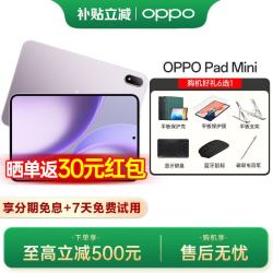 OPPO Pad Mini 8.8英寸平板电脑 丝滑流畅 精致小巧 通透清晰 莫奈紫 12+512 官方标配