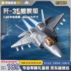 奇妙积木 歼35舰载版战斗机模型 拼插积木（产品*1 说明书*1）