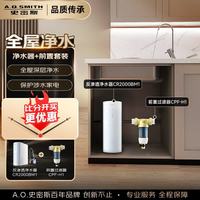 A.O.SMITH 佳尼特净水器厨房专用台下直饮机净水机饮水机家用过滤器 蓝鲸2.0