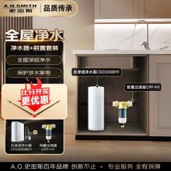A.O.SMITH 佳尼特净水器厨房专用台下直饮机净水机饮水机家用过滤器 蓝鲸2.0