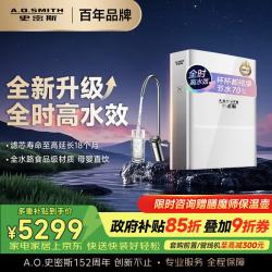 A.O.SMITH 净水器家用净水器厨房专用台下用净水机直饮一体机 冠军之选R2000FWi-EE