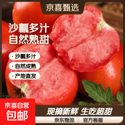 普罗旺斯西红柿沙瓤水果番茄蔬菜 5斤带箱 4.8斤净重